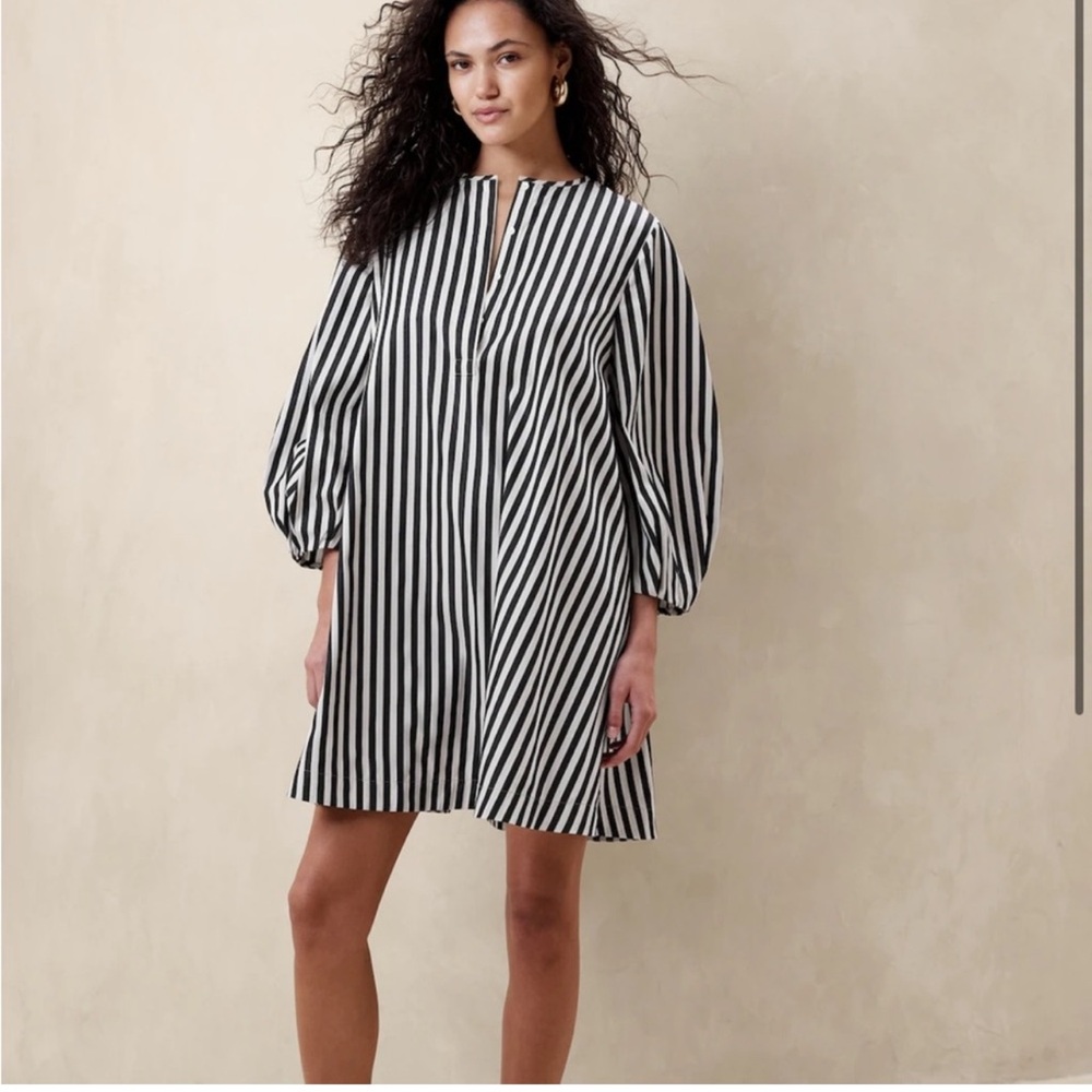 Banana Republic Vertical Striped Dress